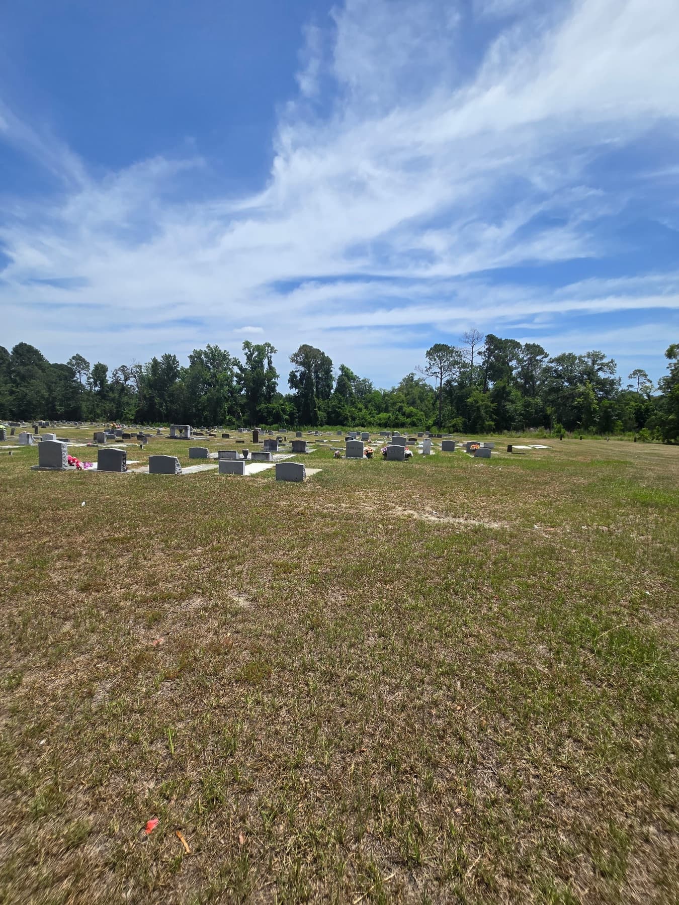 Live Oak Cemetery under a wide summer sky in Ailey, Georgia